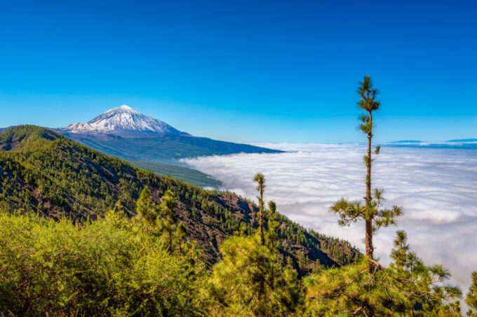 From South Tenerife: Mount Teide Hiking Day Trip & Cable Car - Frequently Asked Questions