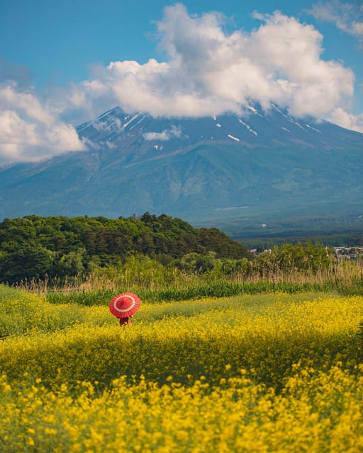 From Tokyo: Mount Fuji Instagram Spots 1-Day Private Tour - Frequently Asked Questions