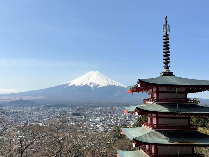 From Tokyo: Mt Fuji and Lake Kawaguchiko Private Day Trip - Recap