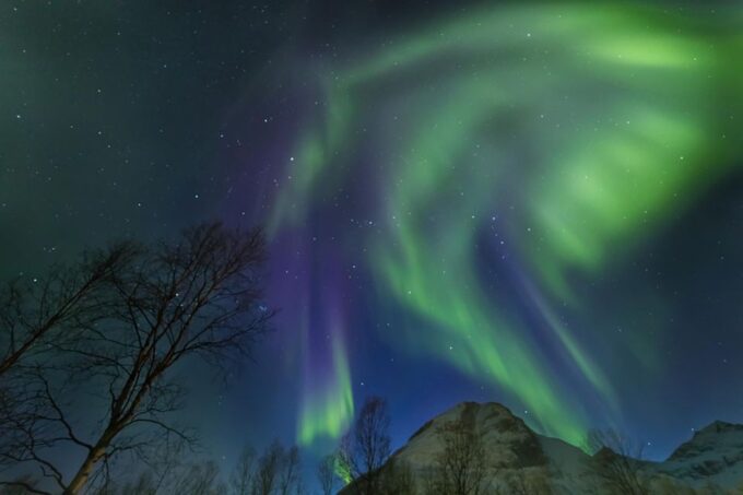 From Tromsø: Northern Lights Guided Bus Chase - Frequently Asked Questions