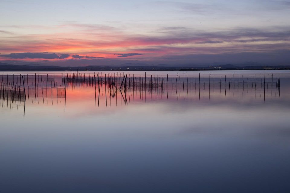 From Valencia: Albufera Natural Park With Sunset Boat Tour - Frequently Asked Questions