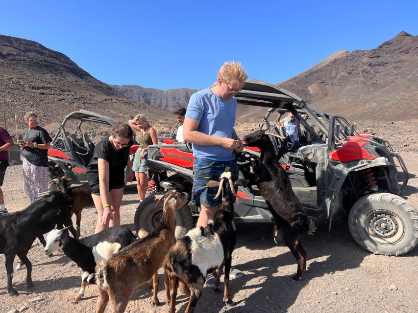 Fuerteventura: Buggy Tour in the South of the Island - Frequently Asked Questions