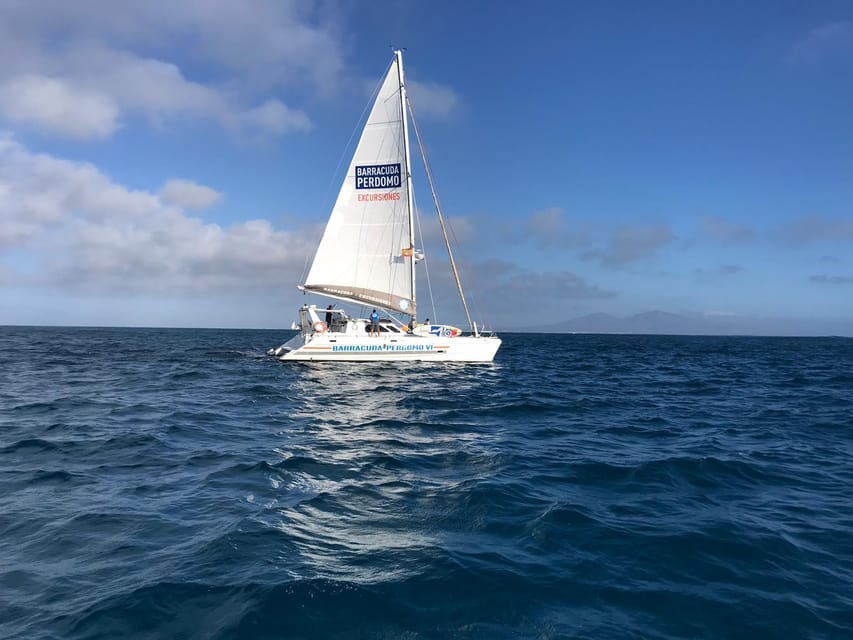 Fuerteventura: Catamaran Excursion to Lobos Island - Frequently Asked Questions