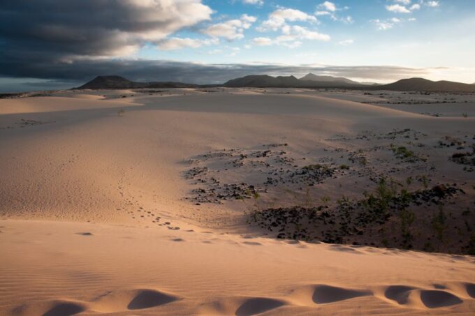 Fuerteventura: Dune Buggy Tour in Northern Fuerteventura - Frequently Asked Questions