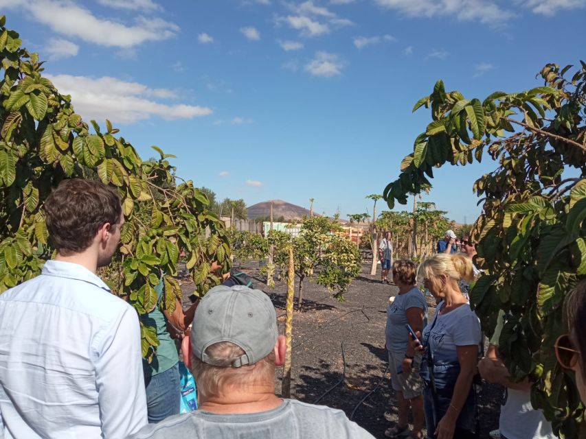 Fuerteventura: Tapas and Local Life Guided Tour - Frequently Asked Questions