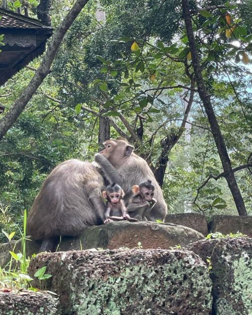 Full Day Angkor Temple Complex Plus Banteay Srei Tour - Frequently Asked Questions