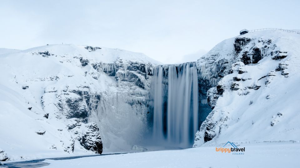 Full-Day Tour of the Scenic South Coast of Iceland - Frequently Asked Questions