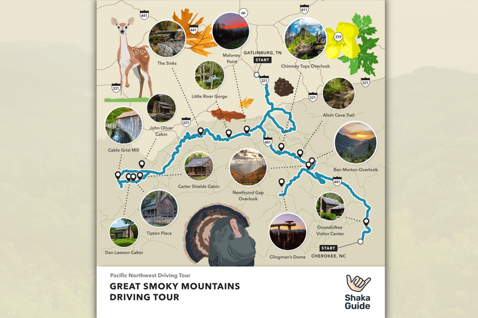 Gatlinburg: App-Based Great Smoky Mountains Park Audio Guide - Frequently Asked Questions