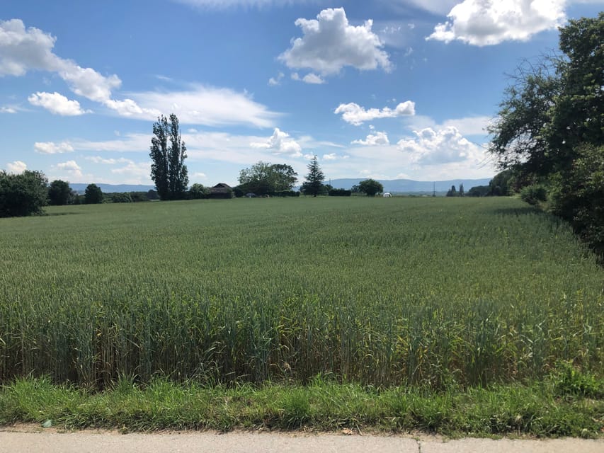 Geneva Countryside and Wine Tasting by E-Bike - Frequently Asked Questions