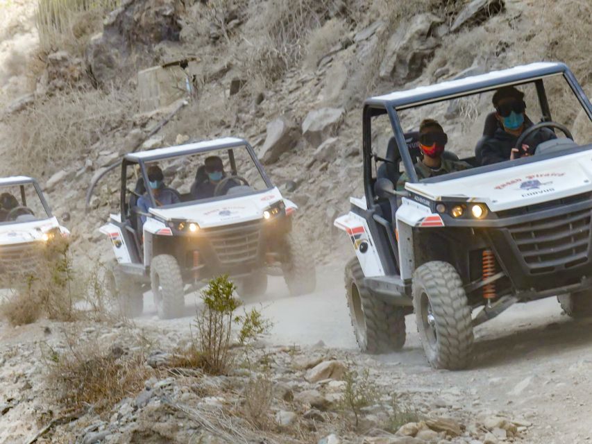 Gran Canaria Guided Buggy Tour - Frequently Asked Questions