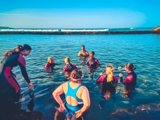 Gran Canaria: North Coast Tour - Salt, Rock Pools, Snorkel ツ - Frequently Asked Questions