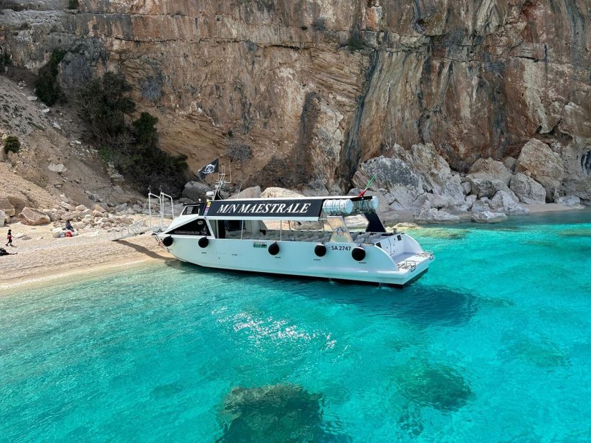 Gulf of Orosei: Grotta Del Bue Marino & Cala Luna Boat Tour - Frequently Asked Questions