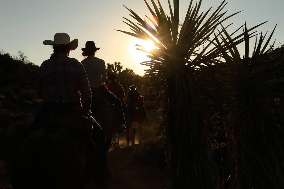 Half Day Horseback Riding Experience Through Joshua Tree - Frequently Asked Questions