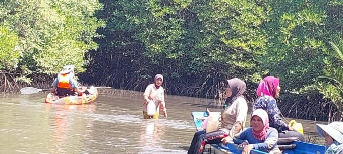 Half Day Kayak Guided Tour to the Green Mangroves Forest - Frequently Asked Questions