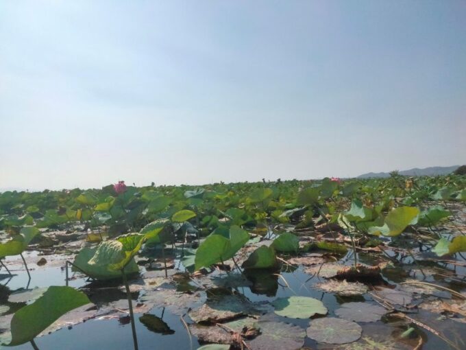 Handicraft, Bamboo Train, Killing Cave, Bat Cave & Sunset - Frequently Asked Questions