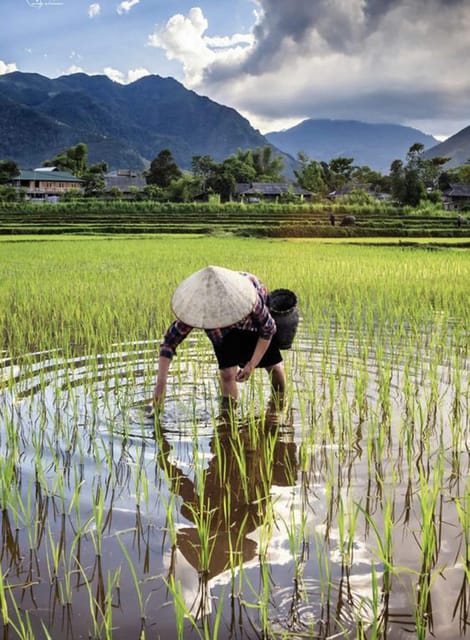 Hanoi: Hoa Lu, Tam Coc and Mua Cave Limo Bus Tour With Lunch - Frequently Asked Questions