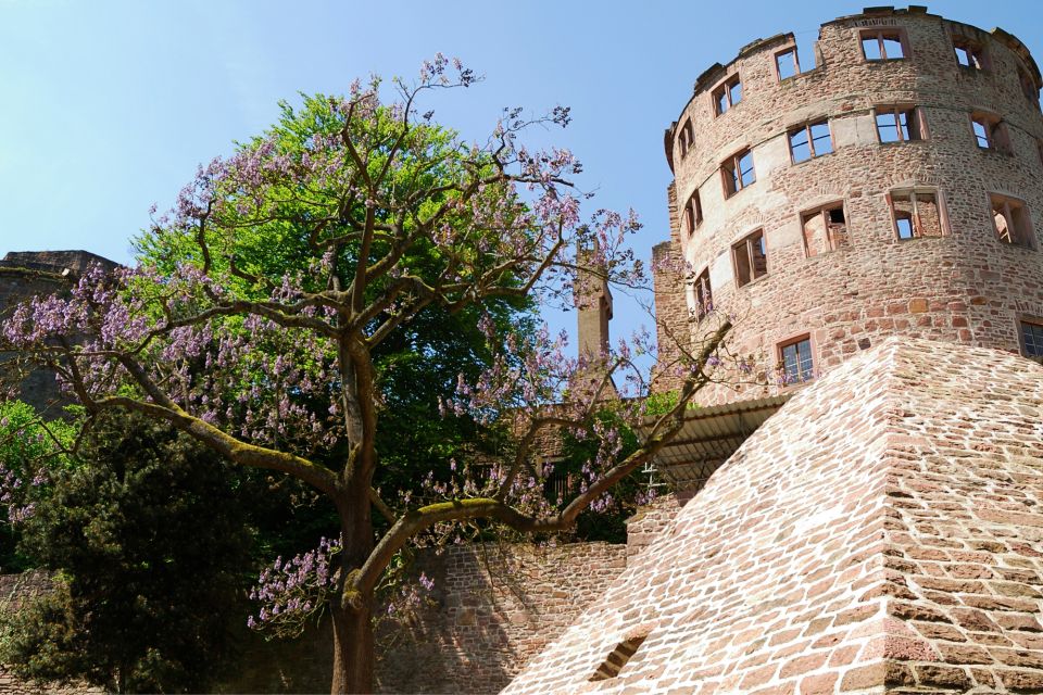 Heidelberg: First Discovery Walk and Reading Walking Tour - Frequently Asked Questions