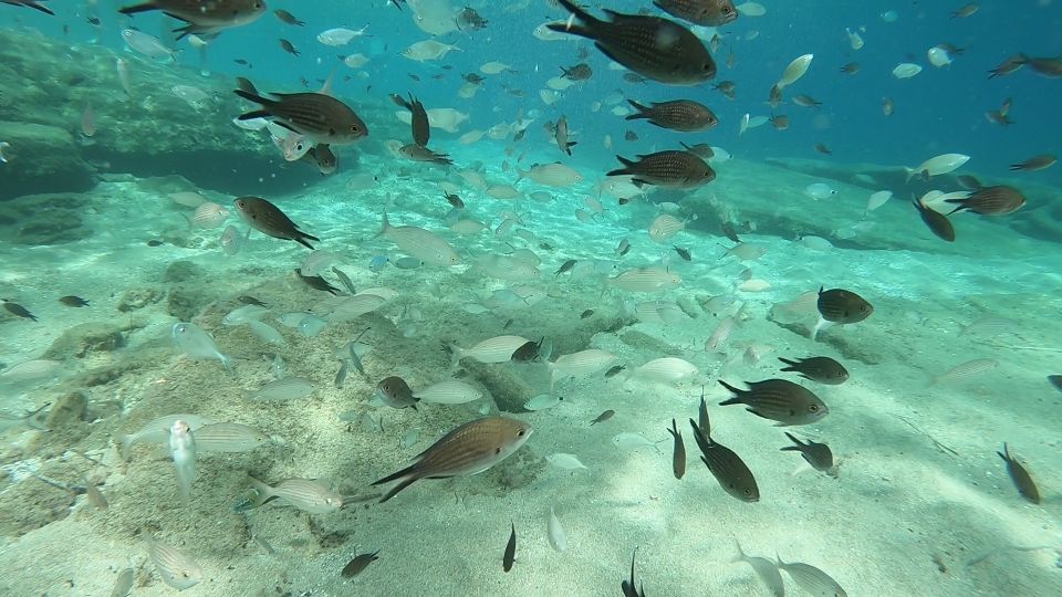 Heraklion: Beginner Scuba Diving Lesson With PADI Instructor - Frequently Asked Questions