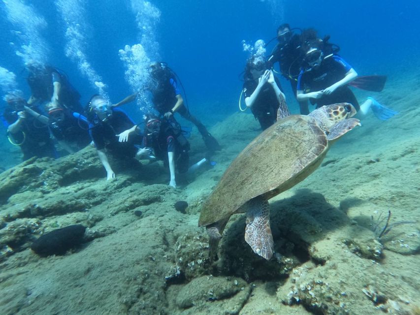 Heraklion: Scuba Diving Experience for Beginners - Frequently Asked Questions