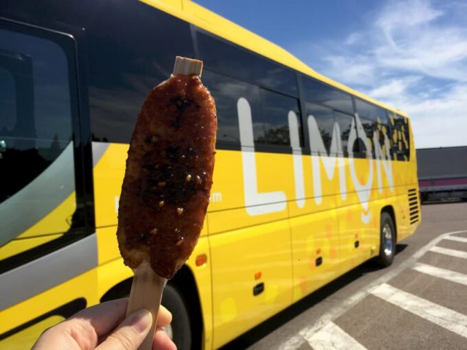 Heritage Bus From Tokyo to Takayama via Mt.Fuji 5 Station - Recap