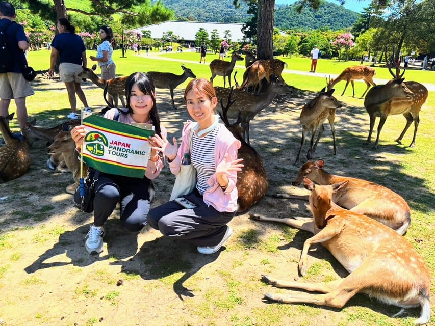 Historical Nara & Kyoto Bus Tour - Tour Overview and Pricing