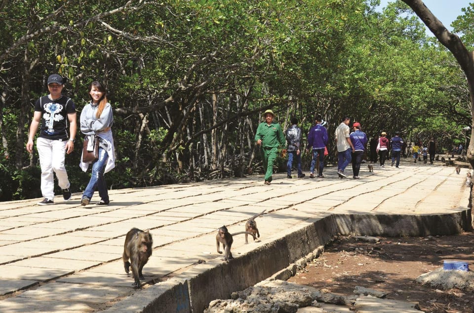 Ho Chi Minh: Private Can Gio Mangrove Forest 1 Day Tour - Frequently Asked Questions