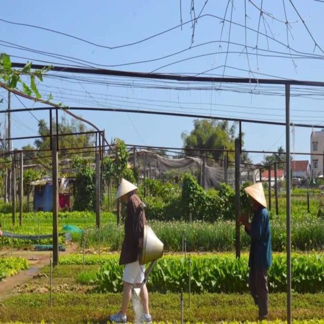 Hoi An Countryside Tour by Bicycle - Frequently Asked Questions