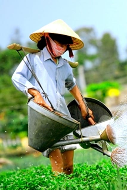 Hoi An: Evening Traditional Cooking Class With Local Chef - Frequently Asked Questions