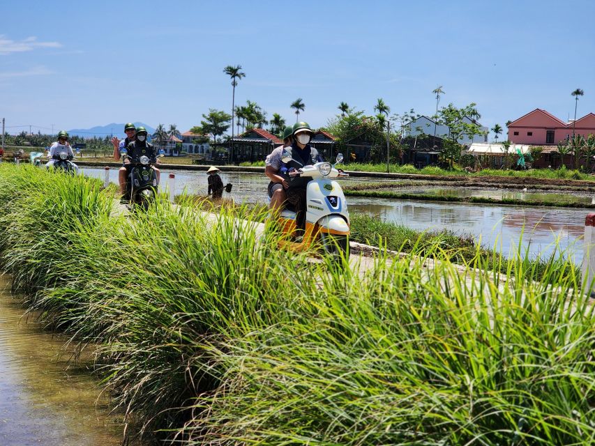 Hoi An Highlights and Hidden Gems Tour by Vespa - Frequently Asked Questions