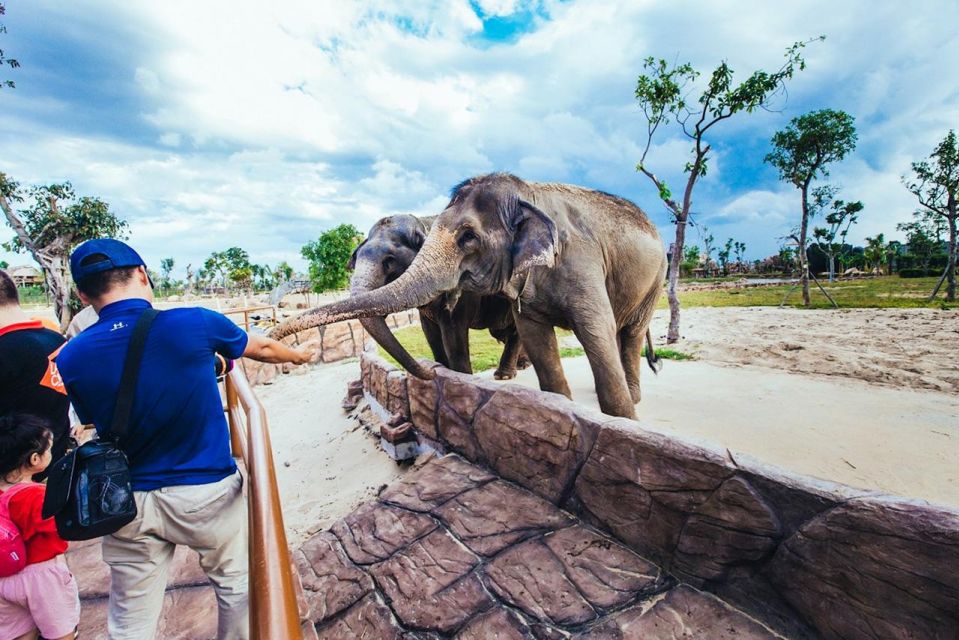 Hoi An: River Safari With Candle-Lit Beach Dinner - Frequently Asked Questions