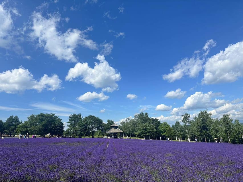 Hokkaido: Flower Sea, Pastoral, and Natural Scenery Day Tour - Recap