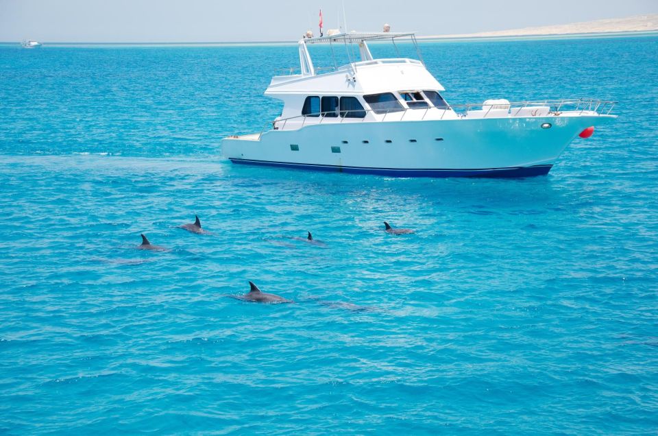 Hurghada: Dolphin Watching Private Yacht & Island Tour - Frequently Asked Questions