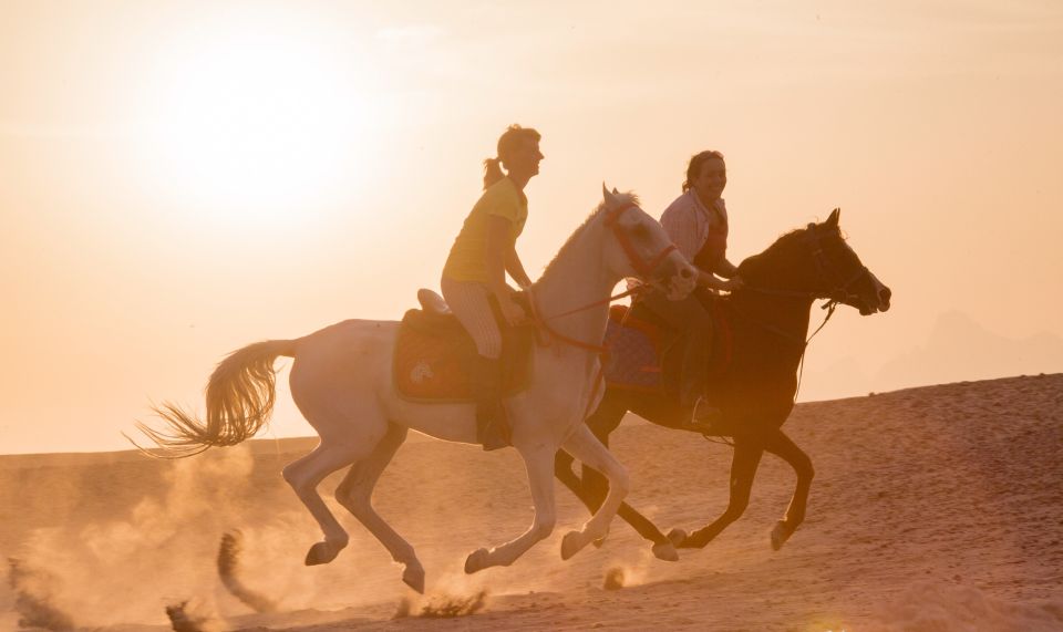 Hurghada: Quad Bike Safari, Camel Horse Ride, Dinner & Shows - The Sum Up