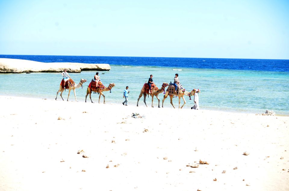 Hurghada: Sea & Desert Camel Ride W/Dinner, Show, Stargazing - The Sum Up