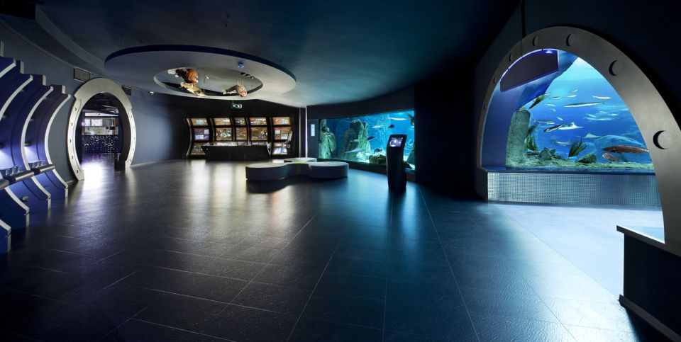 Istanbul Aquarium and Aqua Florya Shopping Mall Tour - Frequently Asked Questions