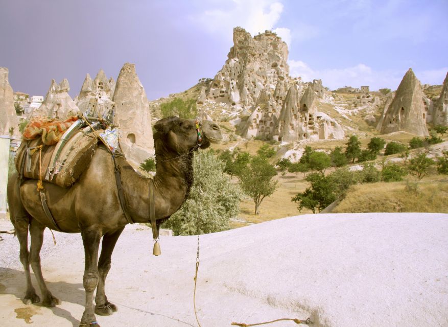 Istanbul to Cappadocia All Inclusive Private Day Tour - Frequently Asked Questions