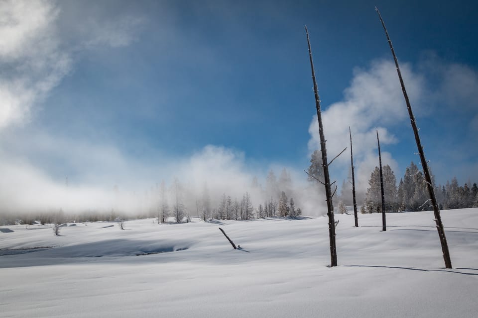 Jackson: Yellowstone Snowcoach Tour to Old Faithful - Frequently Asked Questions