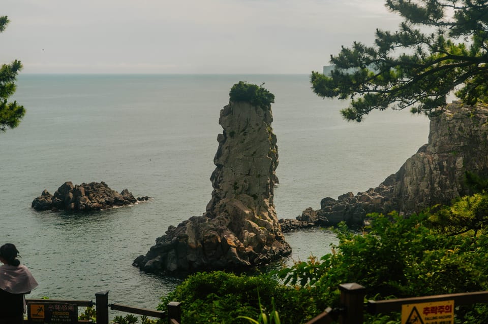 Jeju South: Healing UNESCO Small Group Day Tour - Frequently Asked Questions