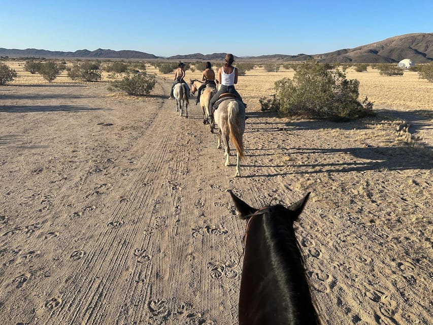 Joshua Tree: Horseback Trail Riding Adventure With a Guide - Frequently Asked Questions