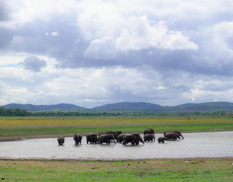 Kaudulla National Park Half Day Sri Lanka Jeep Safari - Frequently Asked Questions