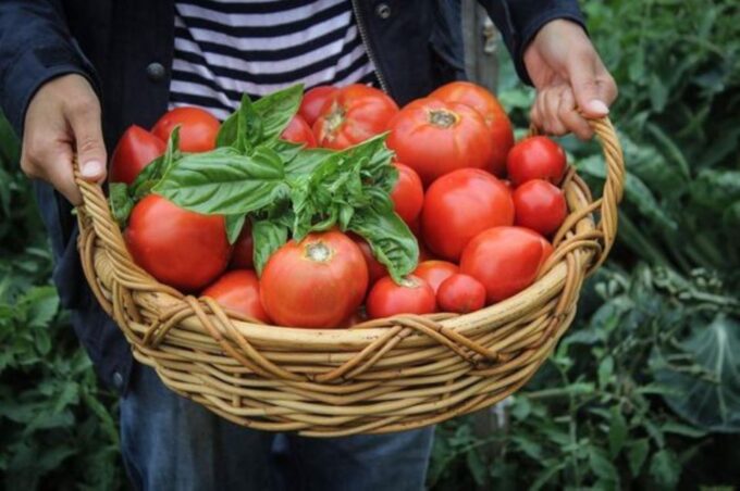 Kefalonia: Myrtos Beach Relaxation & Farm Flavors - Frequently Asked Questions