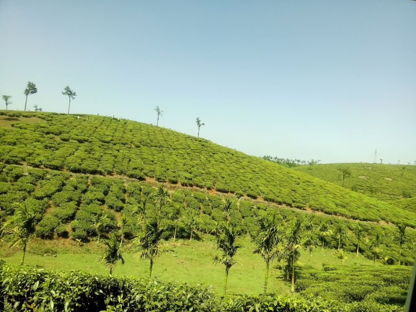 Kerala: Tour to Spice Garden of India: Travellers Choice: - Frequently Asked Questions