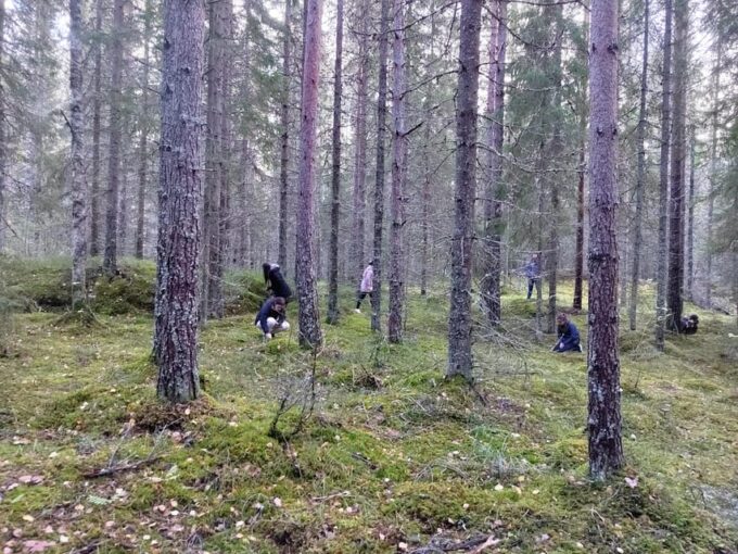 Kintulammi Nature Experience - Frequently Asked Questions