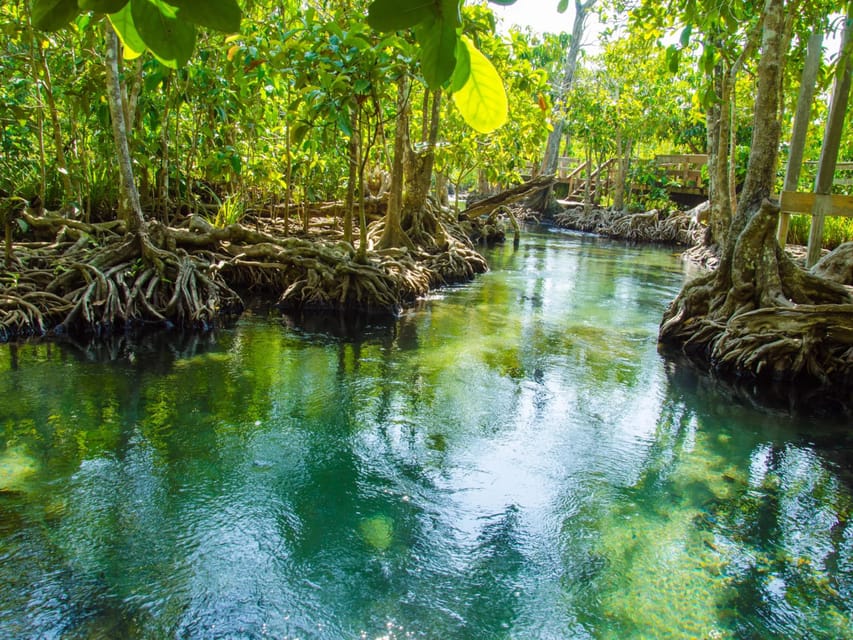 Ko Lanta: Mangrove Forest and Old Town Private Tour - Frequently Asked Questions