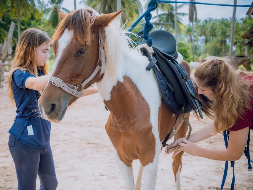 Koh Samui Horse Riding & Beach Trails - Frequently Asked Questions