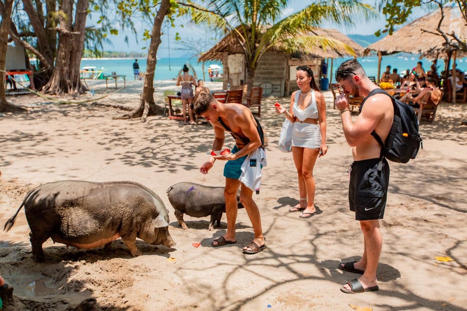 Koh Samui: Pig Island Day Tour by Speedboat - Frequently Asked Questions