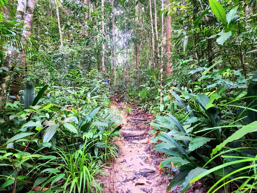 Krabi: Dragon Crest Sunrise Hike &Klong Root Kayak Adventure - Frequently Asked Questions