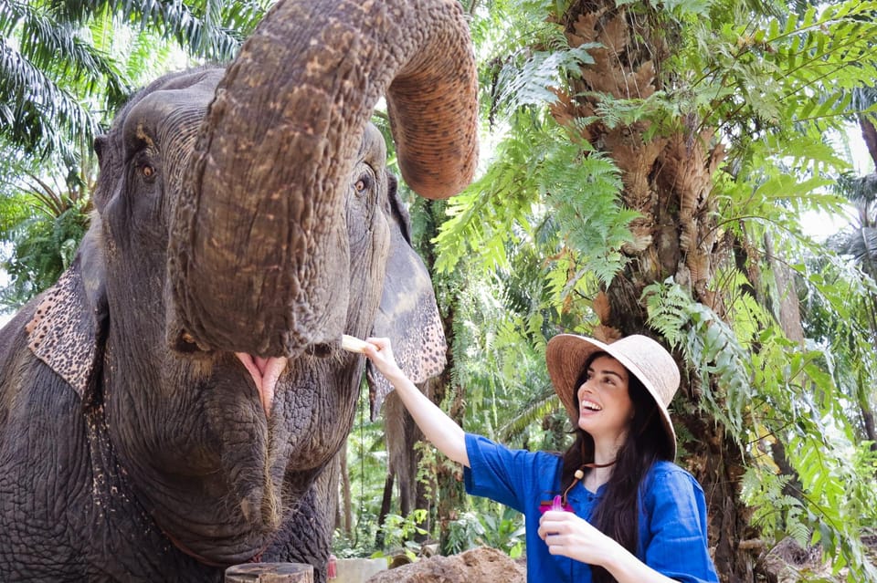 Krabi: Elephant Shelter and Khaothong Hills (Private Tour) - Frequently Asked Questions