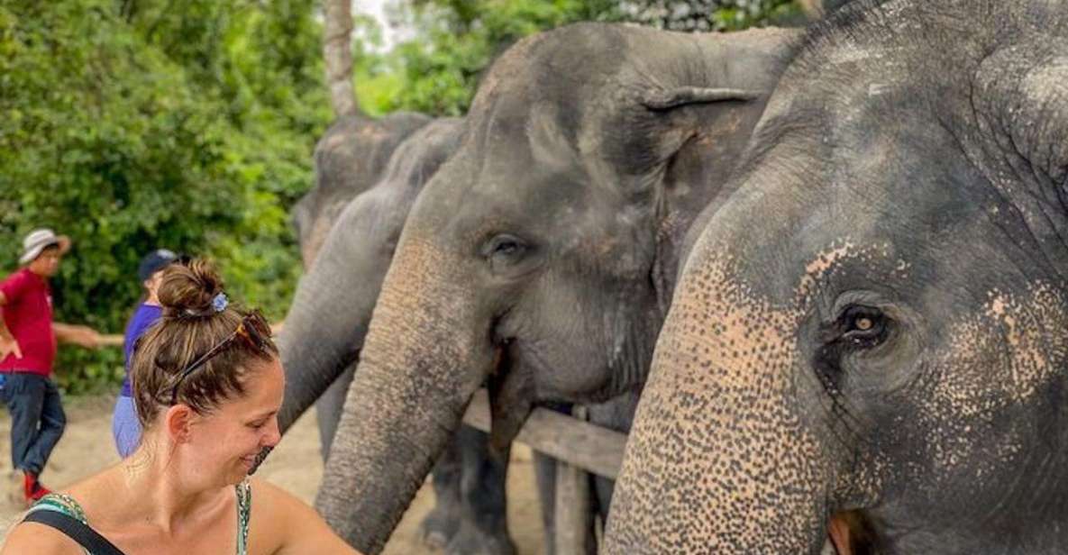 Kulen Elephant Forest Siem Reap in Small Group - Frequently Asked Questions