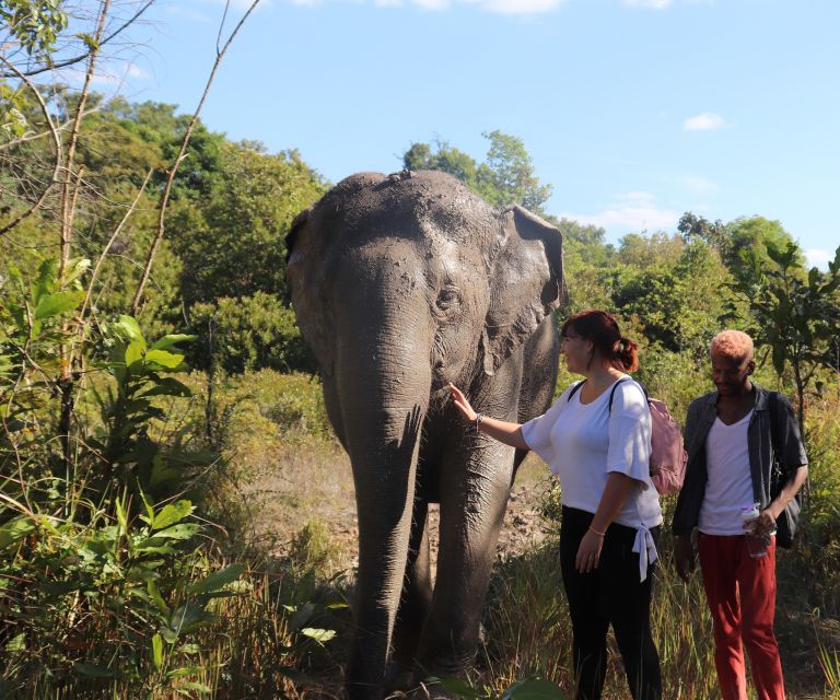 Kulen Mountain Day Trip With Picnic & Kulen Elephant Forest - Frequently Asked Questions